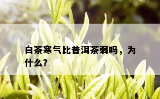 白茶寒气比普洱茶弱吗，为什么？