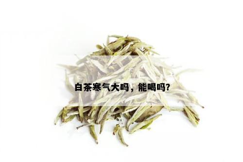 白茶寒气大吗，能喝吗？