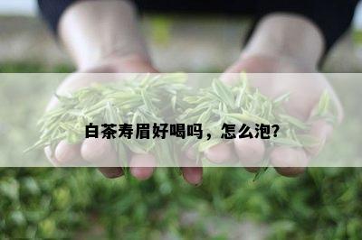 白茶寿眉好喝吗，怎么泡？