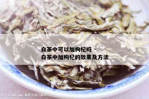 白茶中可以加枸杞吗 - 白茶中加枸杞的效果及方法