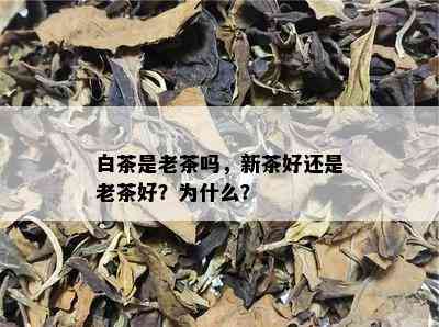 白茶是老茶吗，新茶好还是老茶好？为什么？