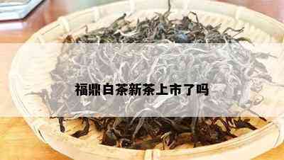 福鼎白茶新茶上市了吗