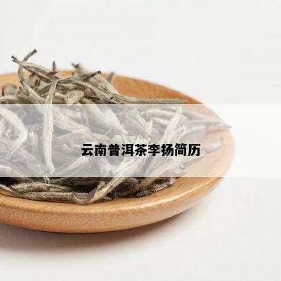 云南普洱茶李扬简历