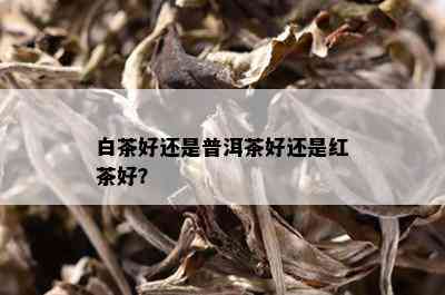 白茶好还是普洱茶好还是红茶好？