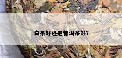 白茶好还是普洱茶好？