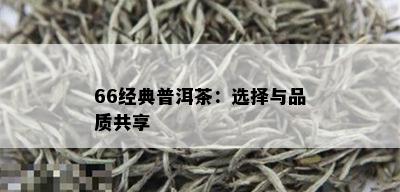 66经典普洱茶：选择与品质共享