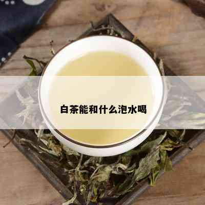 白茶能和什么泡水喝