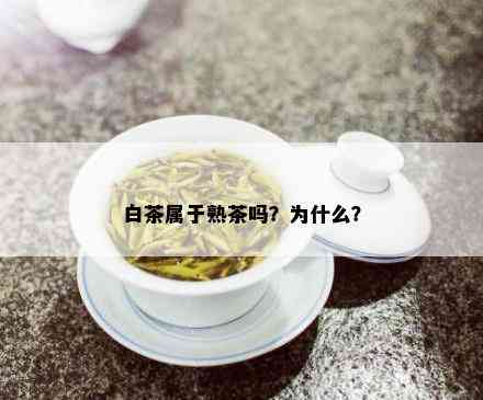 白茶属于熟茶吗？为什么？