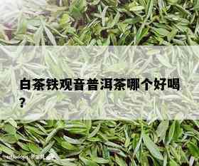 白茶铁观音普洱茶哪个好喝?