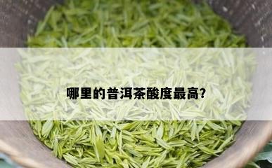 哪里的普洱茶酸度更高？