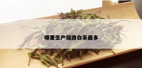 哪里生产福鼎白茶最多