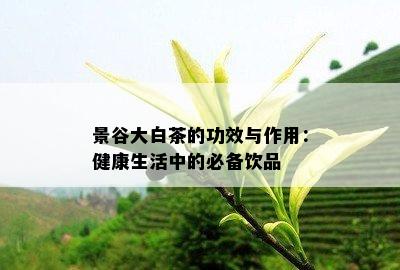 景谷大白茶的功效与作用：健康生活中的必备饮品