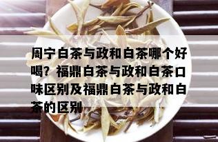 周宁白茶与政和白茶哪个好喝？福鼎白茶与政和白茶口味区别及福鼎白茶与政和白茶的区别