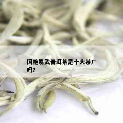 国艳易武普洱茶是十大茶厂吗？