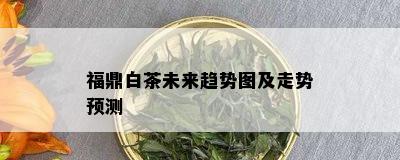 福鼎白茶未来趋势图及走势预测