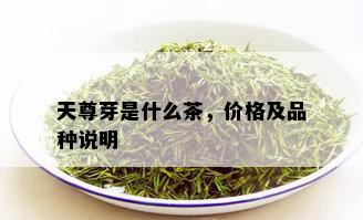 天尊芽是什么茶，价格及品种说明