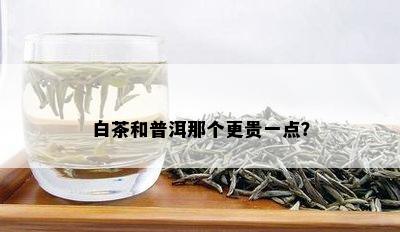 白茶和普洱那个更贵一点？