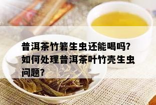 普洱茶竹箬生虫还能喝吗？如何处理普洱茶叶竹壳生虫问题？