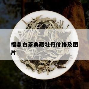 福鼎白茶典藏牡丹价格及图片