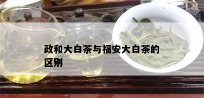 政和大白茶与福安大白茶的区别