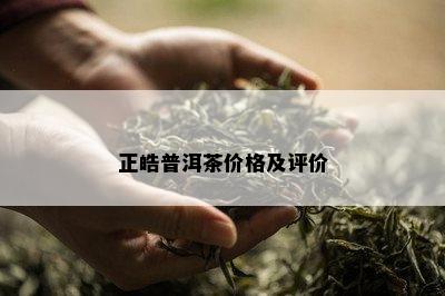 正皓普洱茶价格及评价