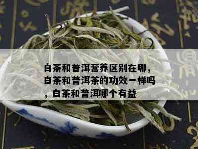 白茶和普洱营养区别在哪，白茶和普洱茶的功效一样吗，白茶和普洱哪个有益