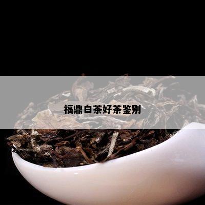 福鼎白茶好茶鉴别