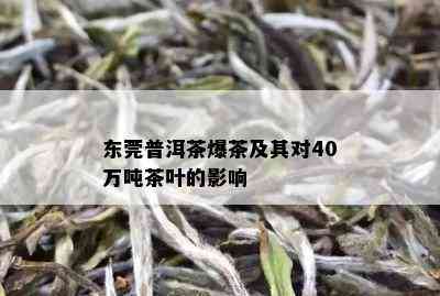 东莞普洱茶爆茶及其对40万吨茶叶的影响