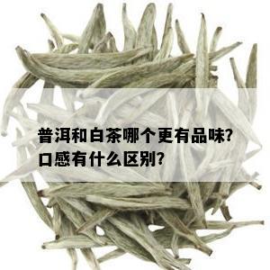 普洱和白茶哪个更有品味？口感有什么区别？