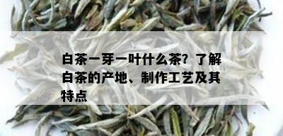 白茶一芽一叶什么茶？了解白茶的产地、制作工艺及其特点