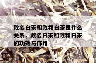 政名白茶和政和白茶是什么关系，政名白茶和政和白茶的功效与作用