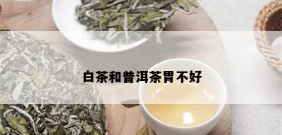 白茶和普洱茶胃不好