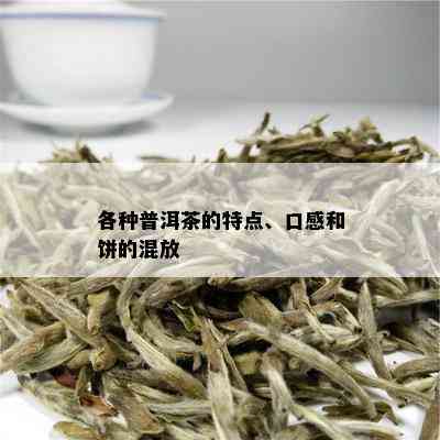 各种普洱茶的特点、口感和饼的混放