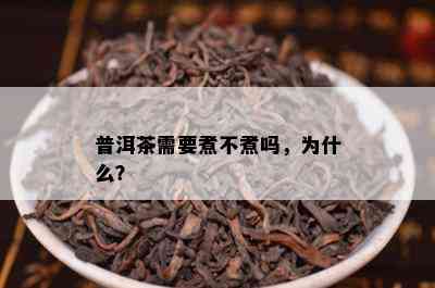 普洱茶需要煮不煮吗，为什么？