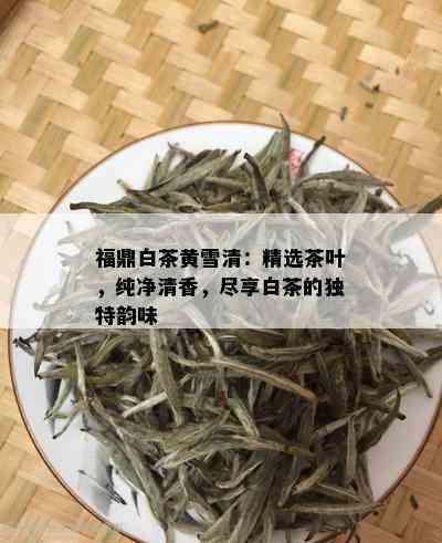 福鼎白茶黄雪清：精选茶叶，纯净清香，尽享白茶的独特韵味