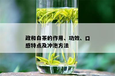 政和白茶的作用、功效、口感特点及冲泡方法