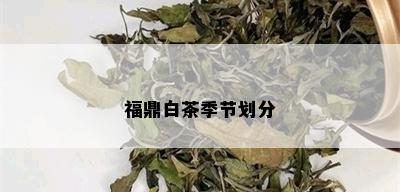 福鼎白茶季节划分