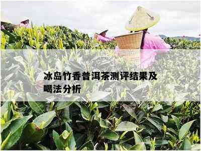 冰岛竹香普洱茶测评结果及喝法分析