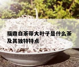 福鼎白茶带大叶子是什么茶及其独特特点