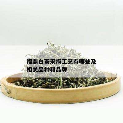 福鼎白茶采摘工艺有哪些及相关品种和品牌