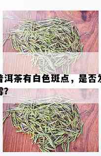 普洱茶有白色斑点，是否发霉？