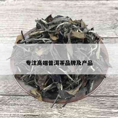 专注高端普洱茶品牌及产品