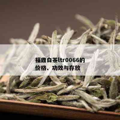 福鼎白茶ltr0066的价格、功效与存放