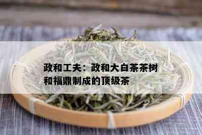 政和工夫：政和大白茶茶树和福鼎制成的顶级茶