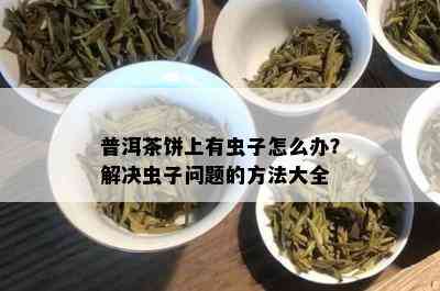 普洱茶饼上有虫子怎么办？解决虫子问题的方法大全