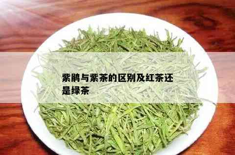 紫鹃与紫茶的区别及红茶还是绿茶