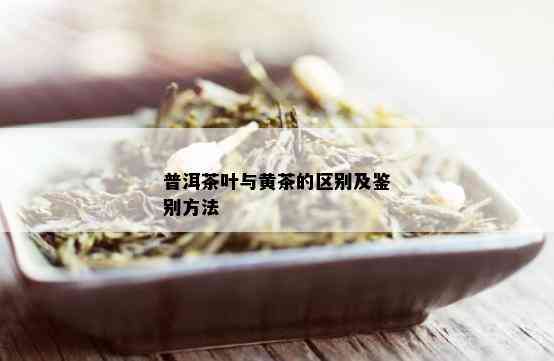 普洱茶叶与黄茶的区别及鉴别方法