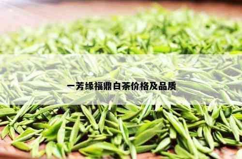 一芳缘福鼎白茶价格及品质