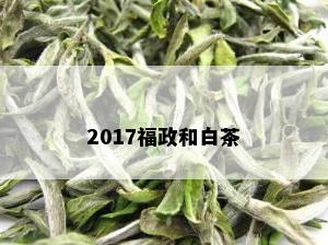 2017福政和白茶