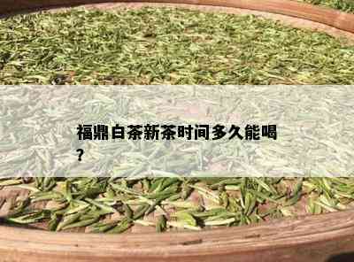 福鼎白茶新茶时间多久能喝？